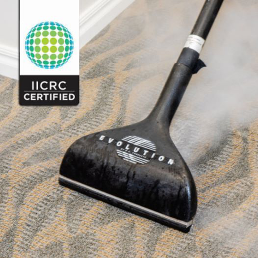 evolution carpet cleaner labeled IICRC Certified